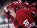 coyotes_bench_red