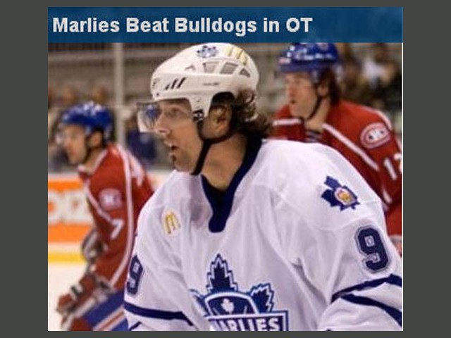 Marlies_Bulldogs_small